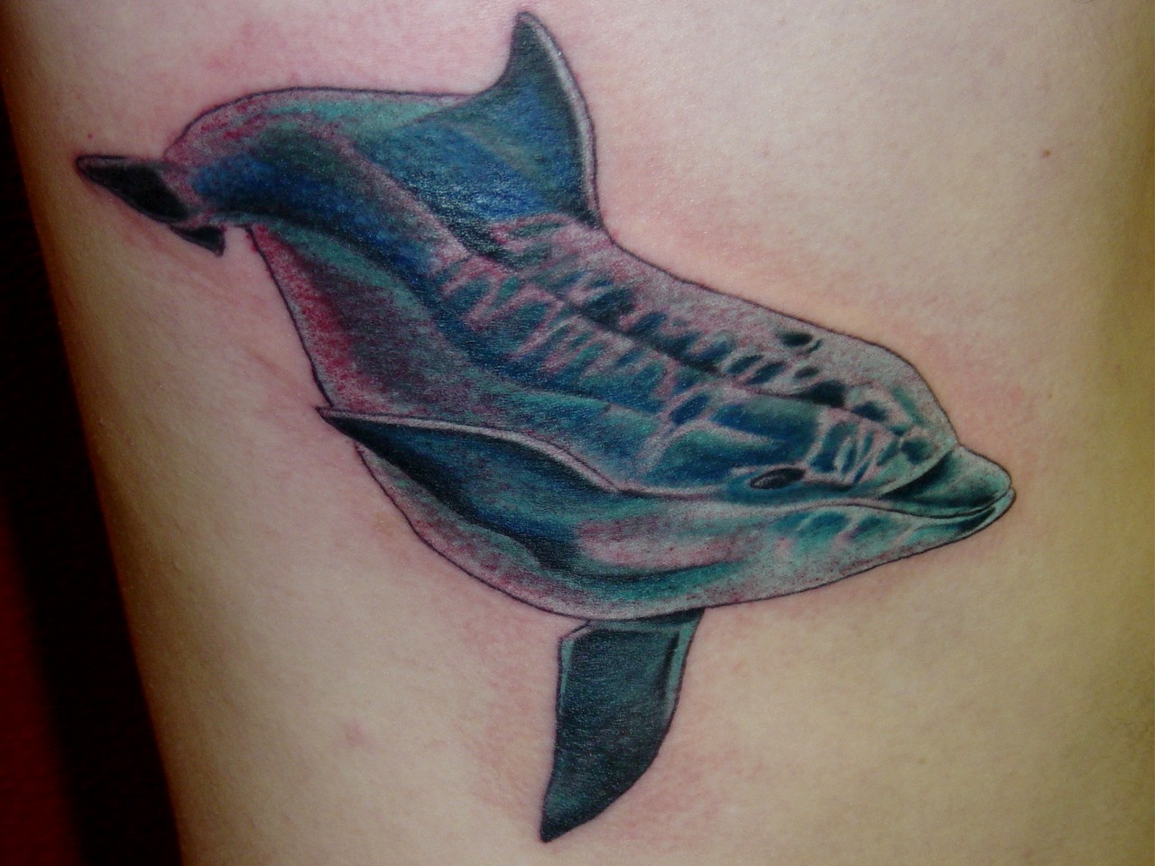dolphin1.jpg